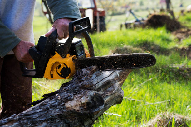 Best Aeration Services  in Windsor, IL